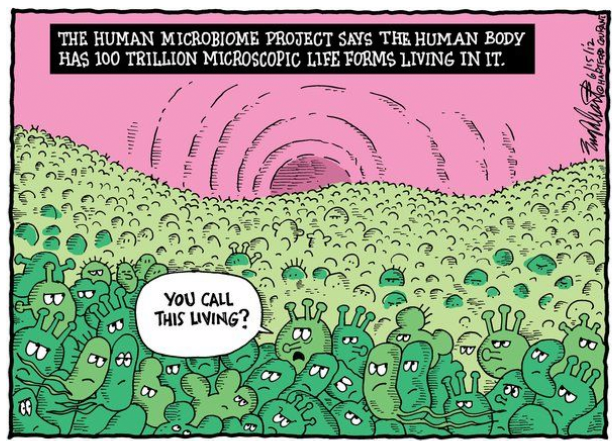 Natural Health Auckalnd